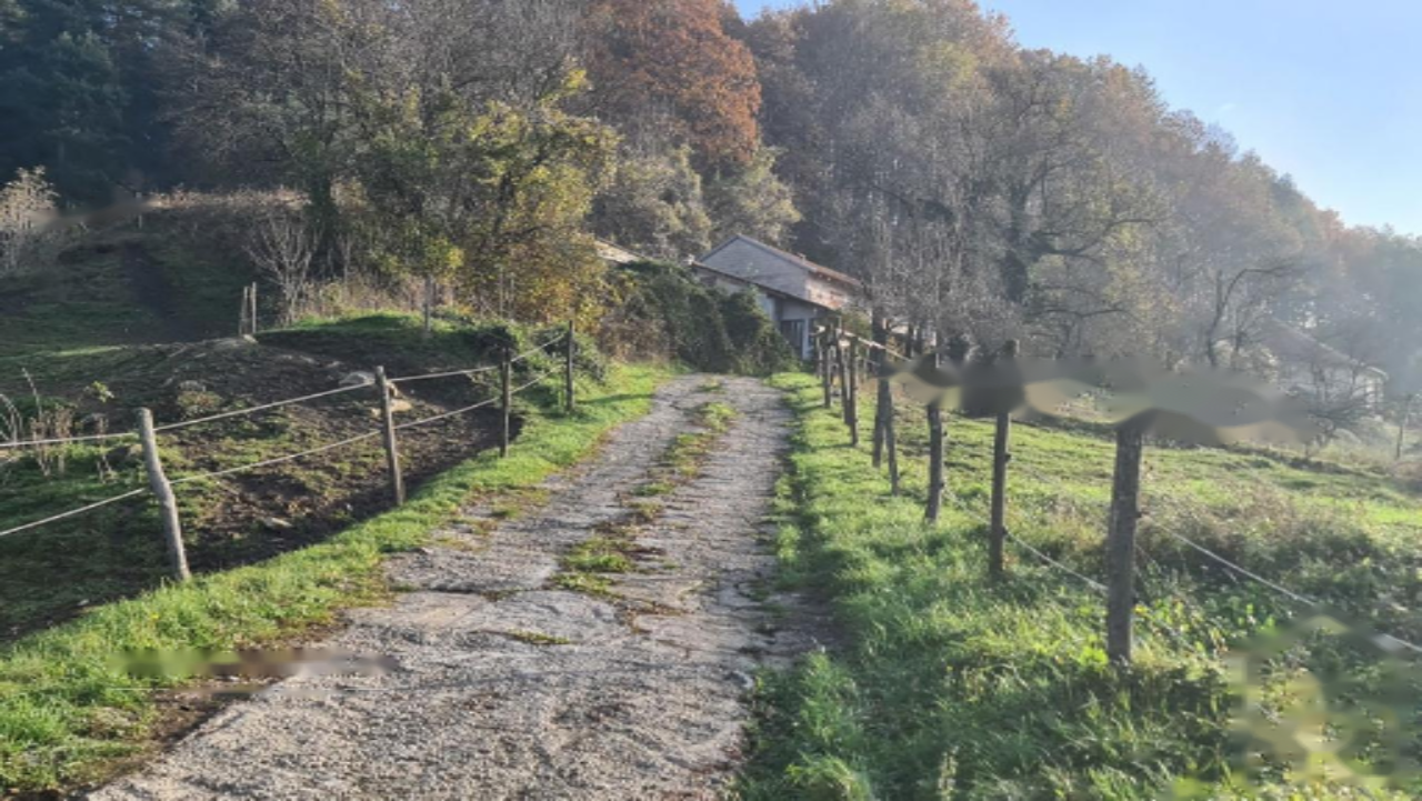 Ферма в Сежане, Словения, 475 м² - фото 4