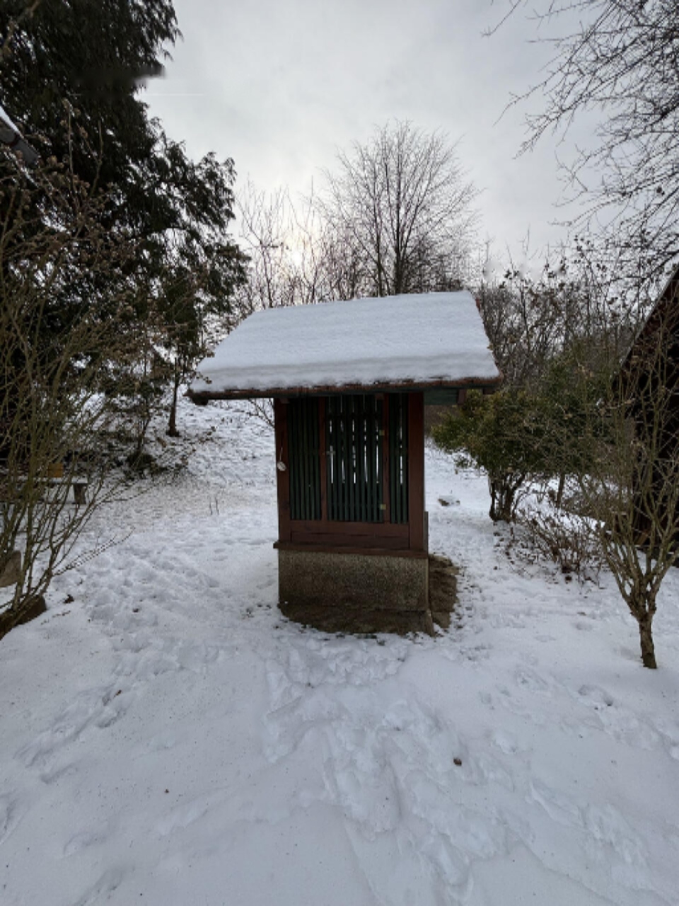 Ферма в Орможе, Словения, 41 847 м² - фото 5