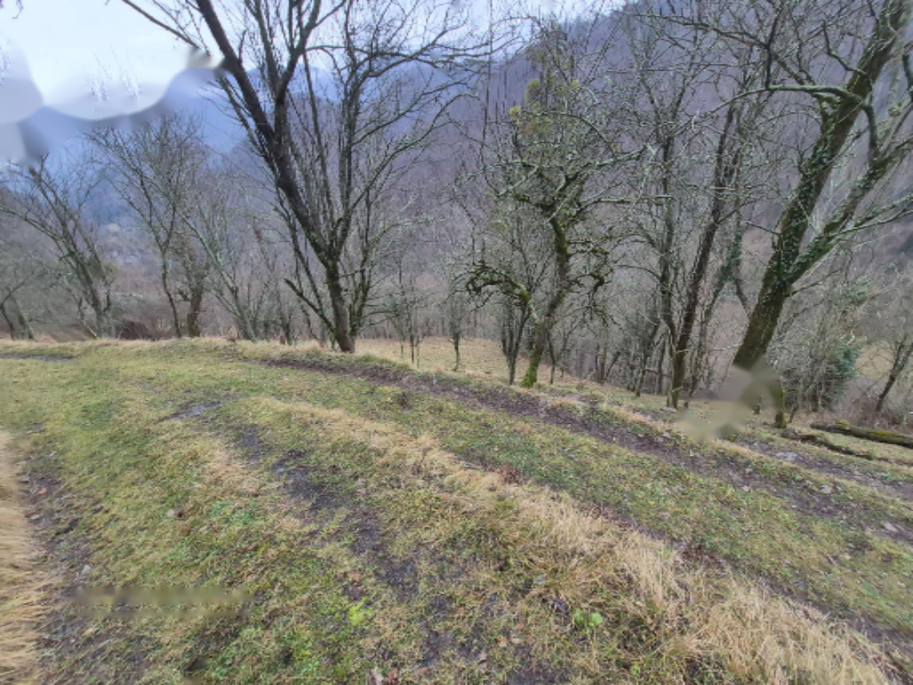 Ферма в Толмине, Словения, 176 000 м² - фото 5