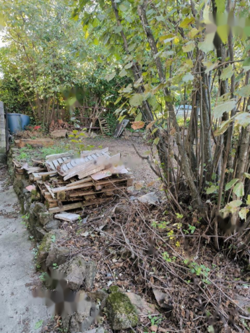 Ферма в Копере, Словения, 118 м² - фото 5