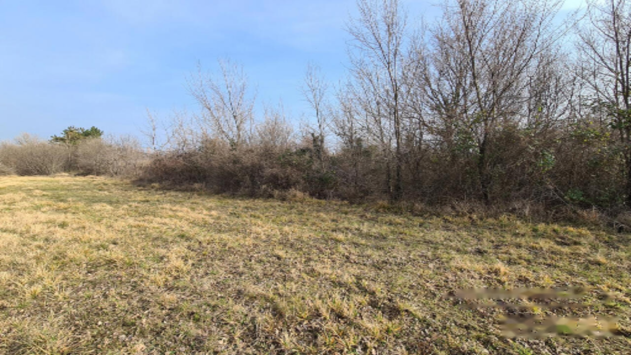 Ферма в Копере, Словения, 4 395 м² - фото 5