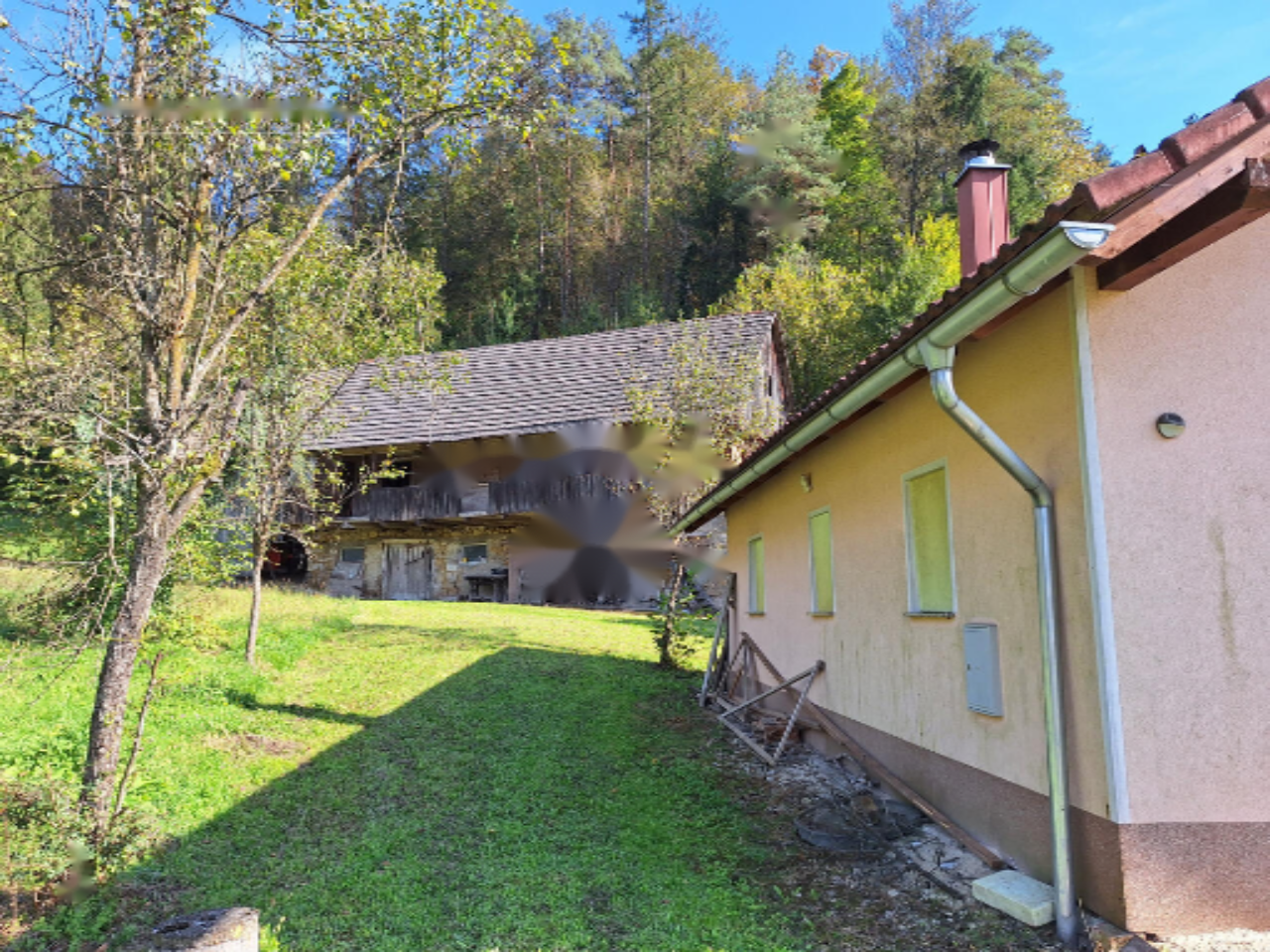 Ферма в Севнице, Словения, 51 000 м² - фото 5