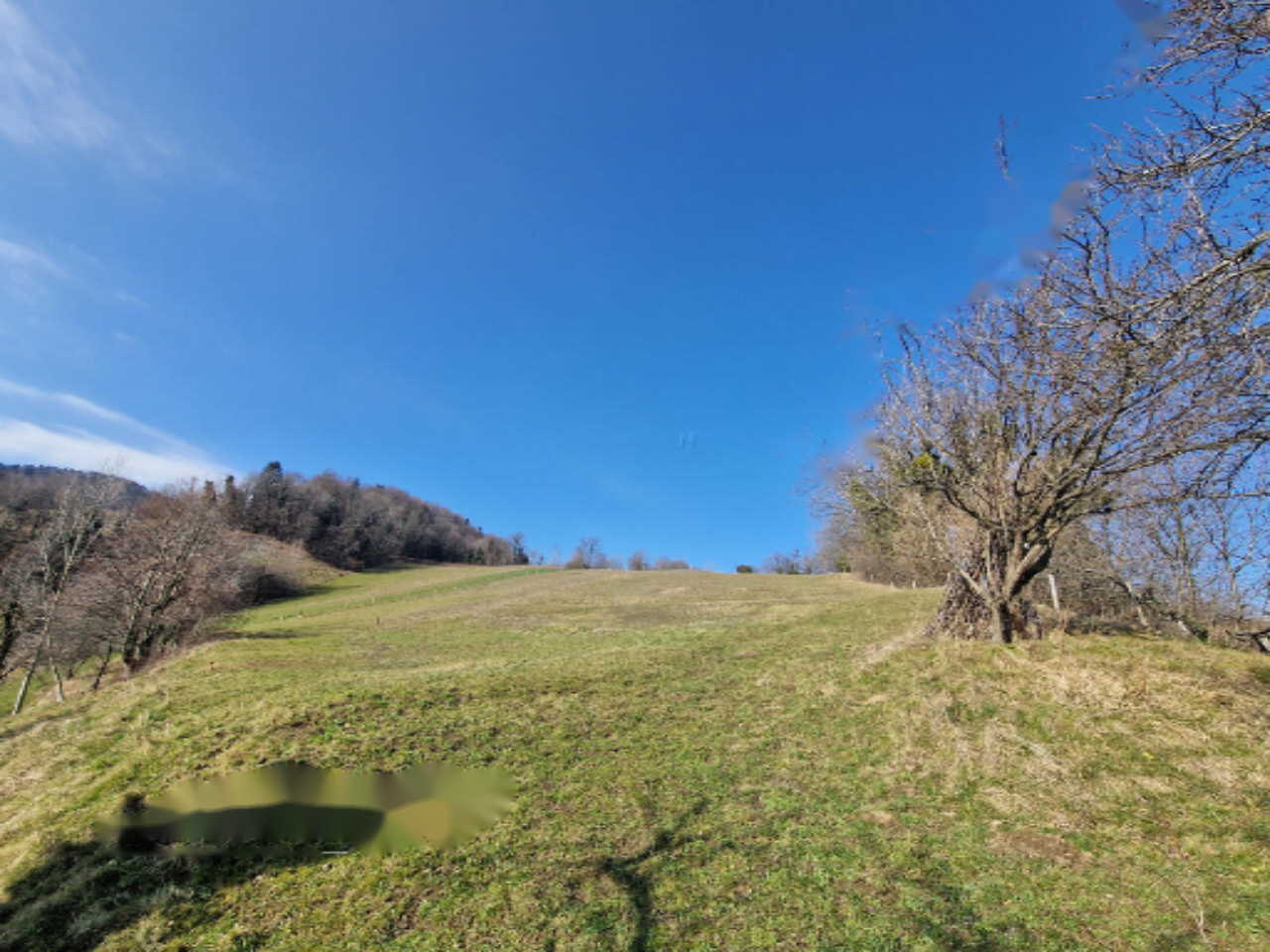 Ферма в Словенска-Бистрице, Словения, 25 252 м² - фото 5