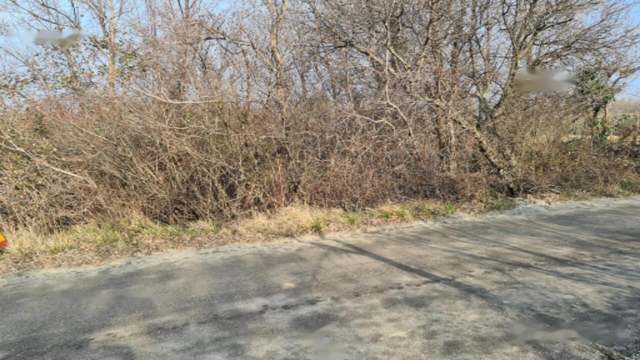 Ферма в Копере, Словения, 4 395 м² - фото 6