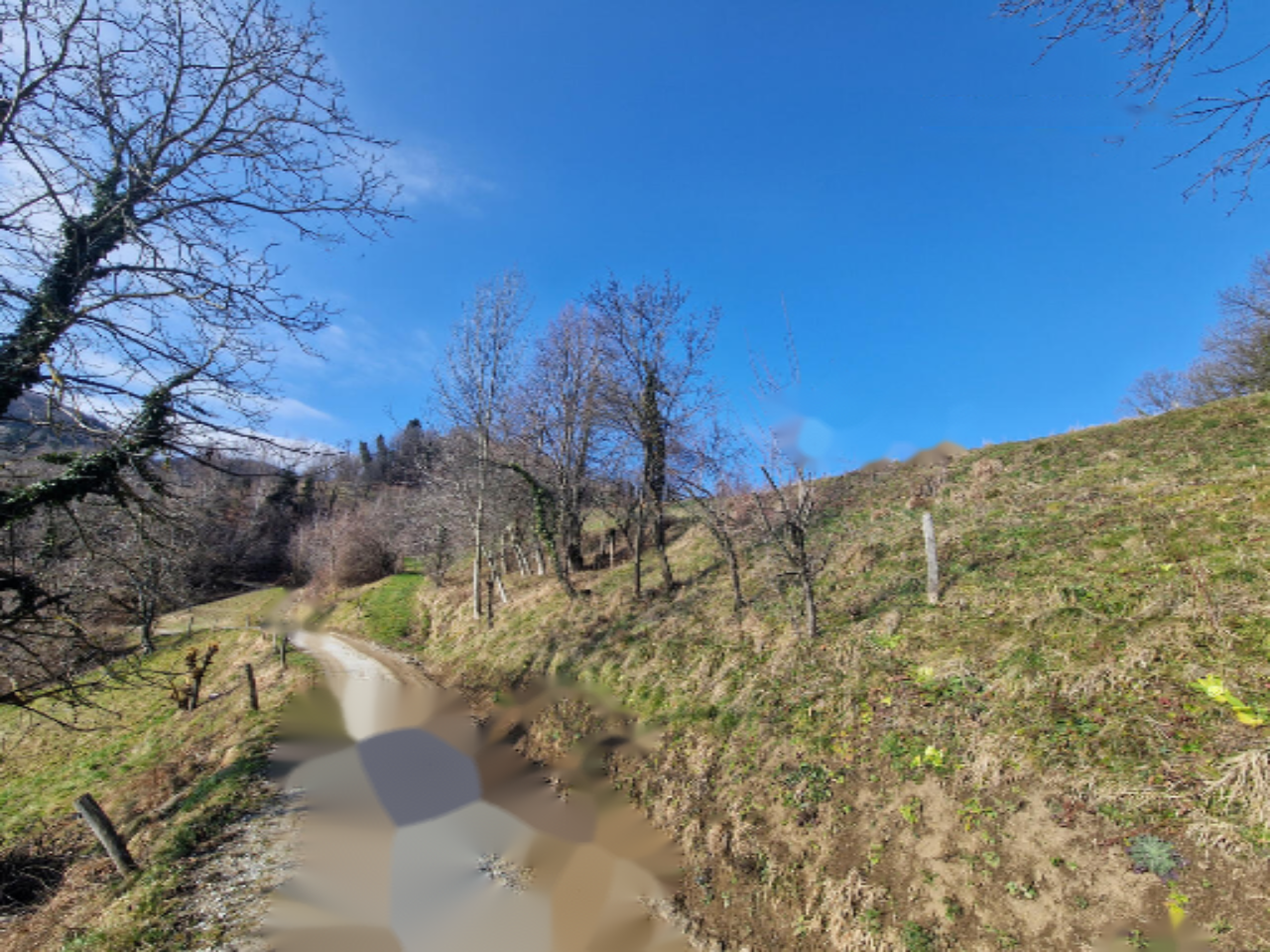 Ферма в Словенска-Бистрице, Словения, 25 252 м² - фото 6