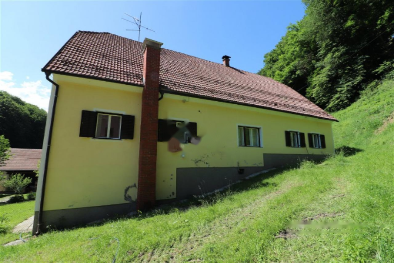 Ферма в Шентиле, Словения, 393 м² - фото 6