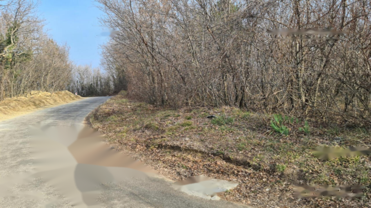 Ферма в Копере, Словения, 4 395 м² - фото 7