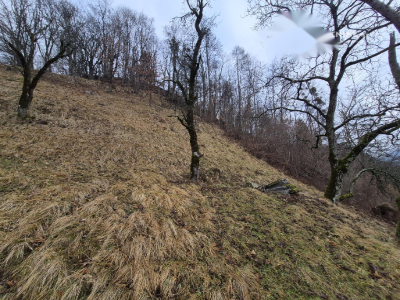 Ферма в Толмине, Словения, 176 000 м² - фото 7