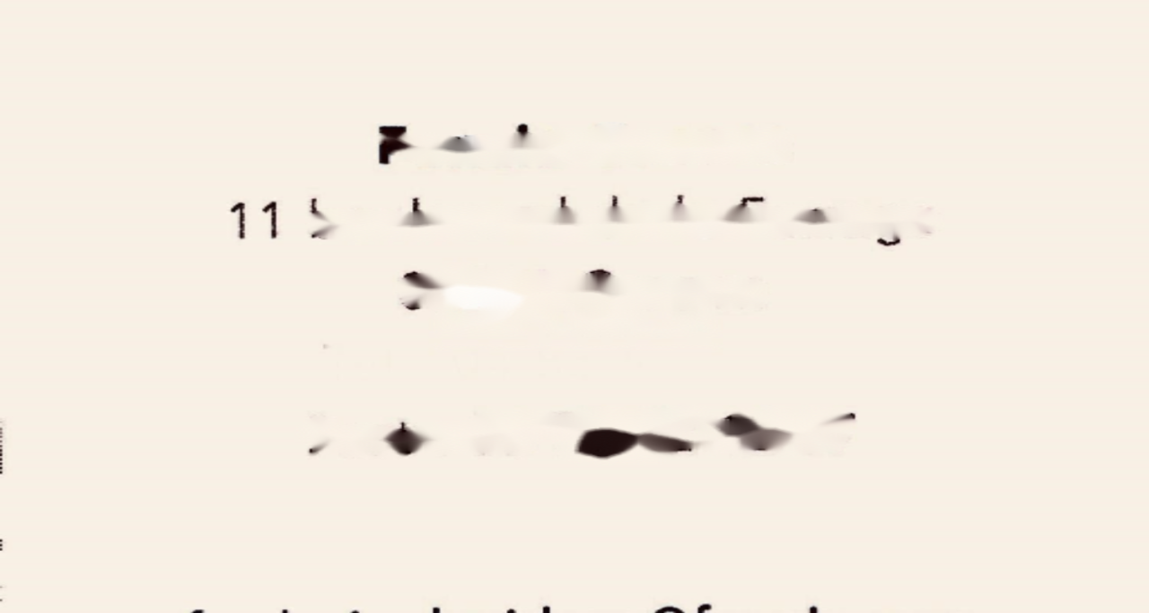 Квартира в Каннах, Франция, 70 м² - фото 8