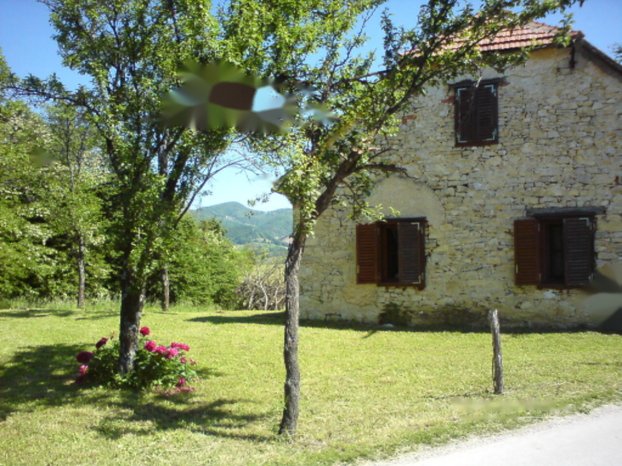 Ферма в Шмарье-при-Елшах, Словения, 20 200 м² - фото 8