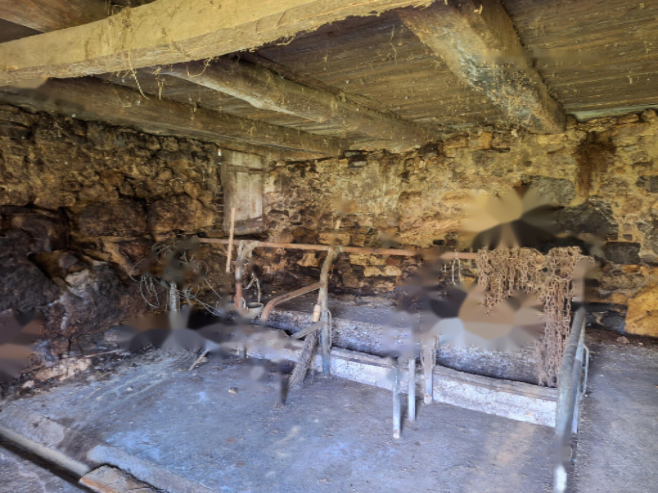 Ферма в Севнице, Словения, 51 000 м² - фото 8