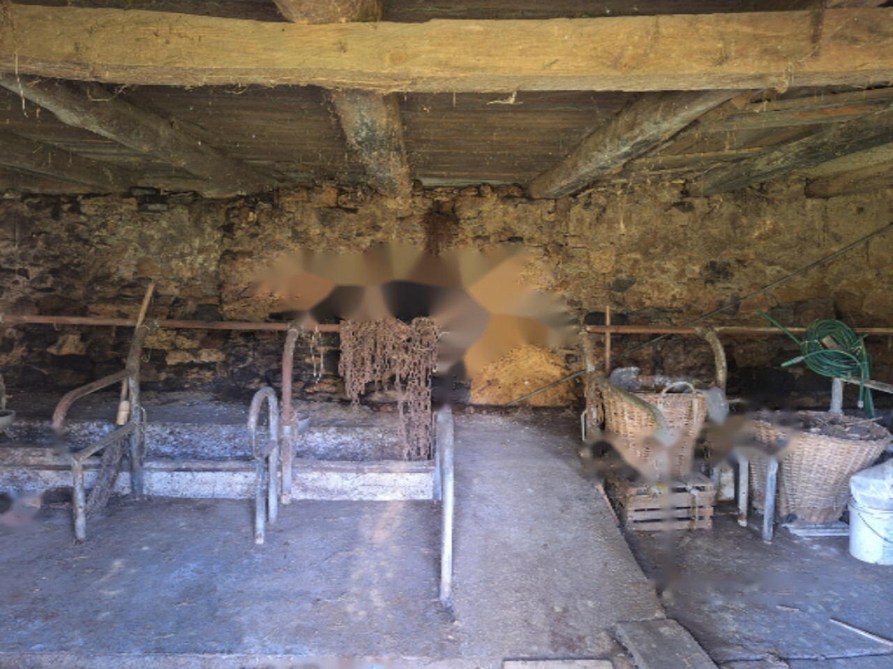 Ферма в Севнице, Словения, 51 000 м² - фото 10