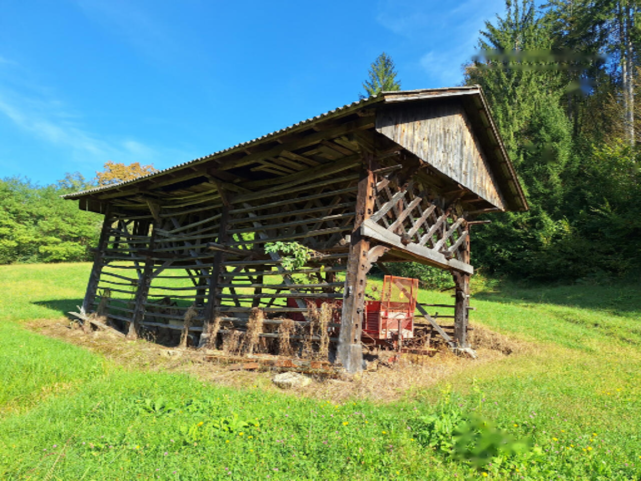 Ферма в Севнице, Словения, 51 000 м² - фото 12