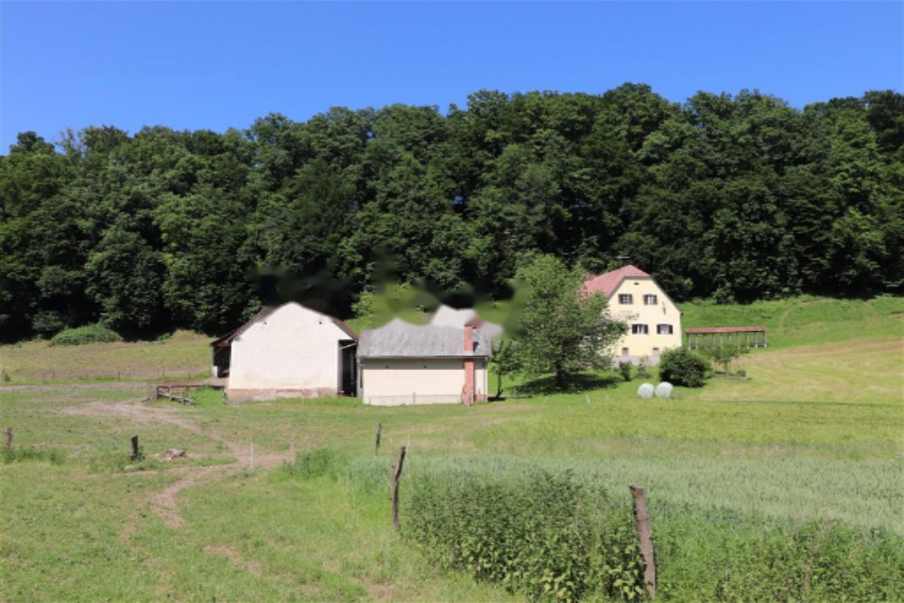 Ферма в Шентиле, Словения, 393 м² - фото 13