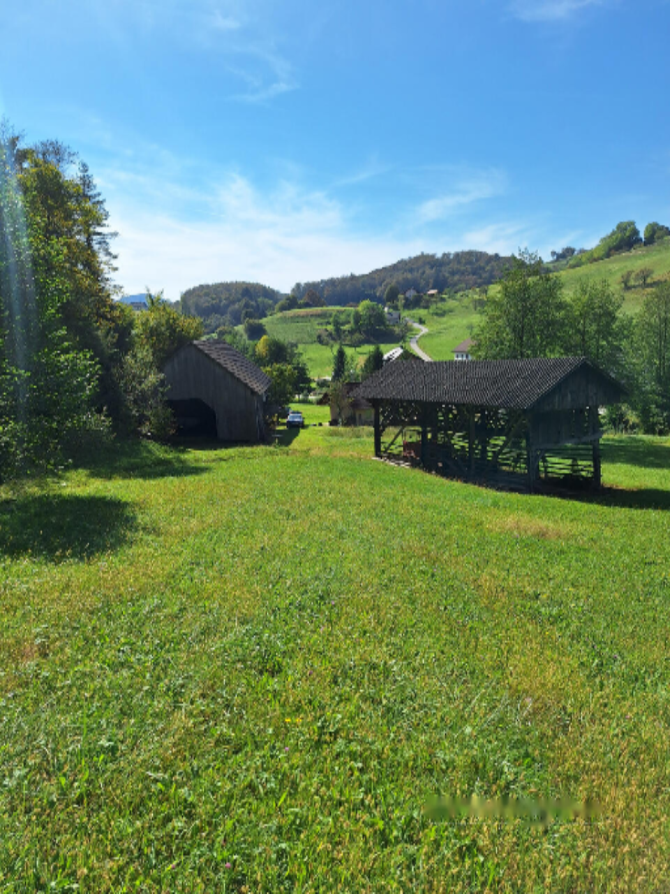 Ферма в Севнице, Словения, 51 000 м² - фото 13