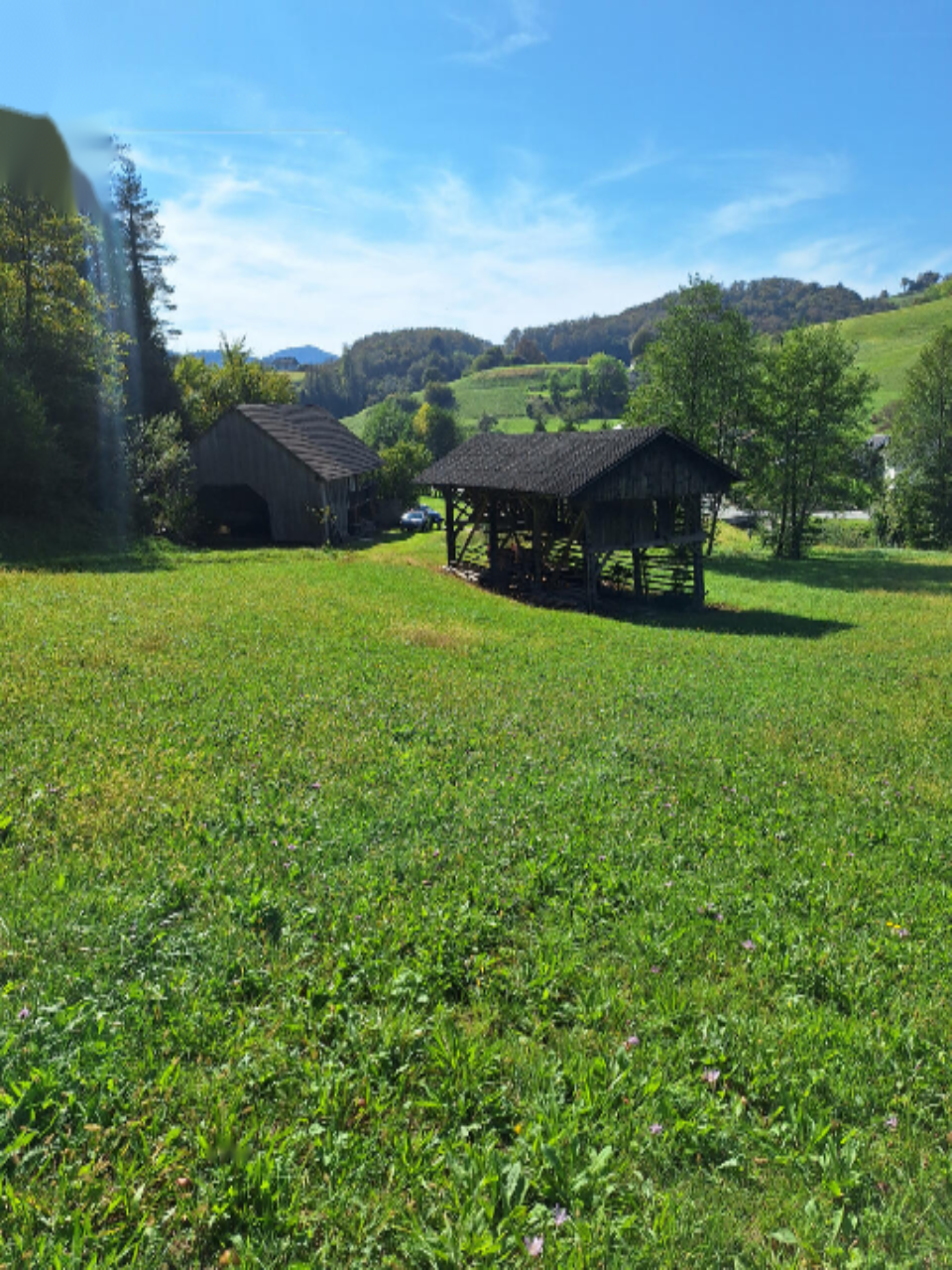 Ферма в Севнице, Словения, 51 000 м² - фото 14