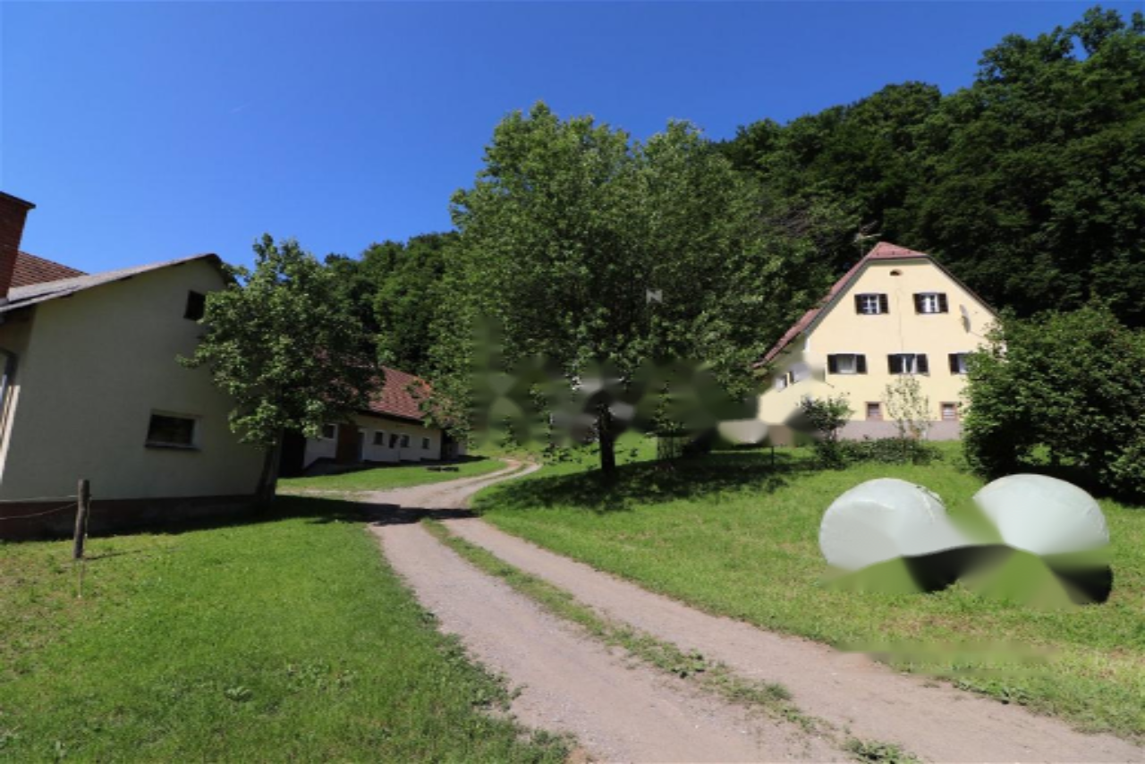 Ферма в Шентиле, Словения, 393 м² - фото 14