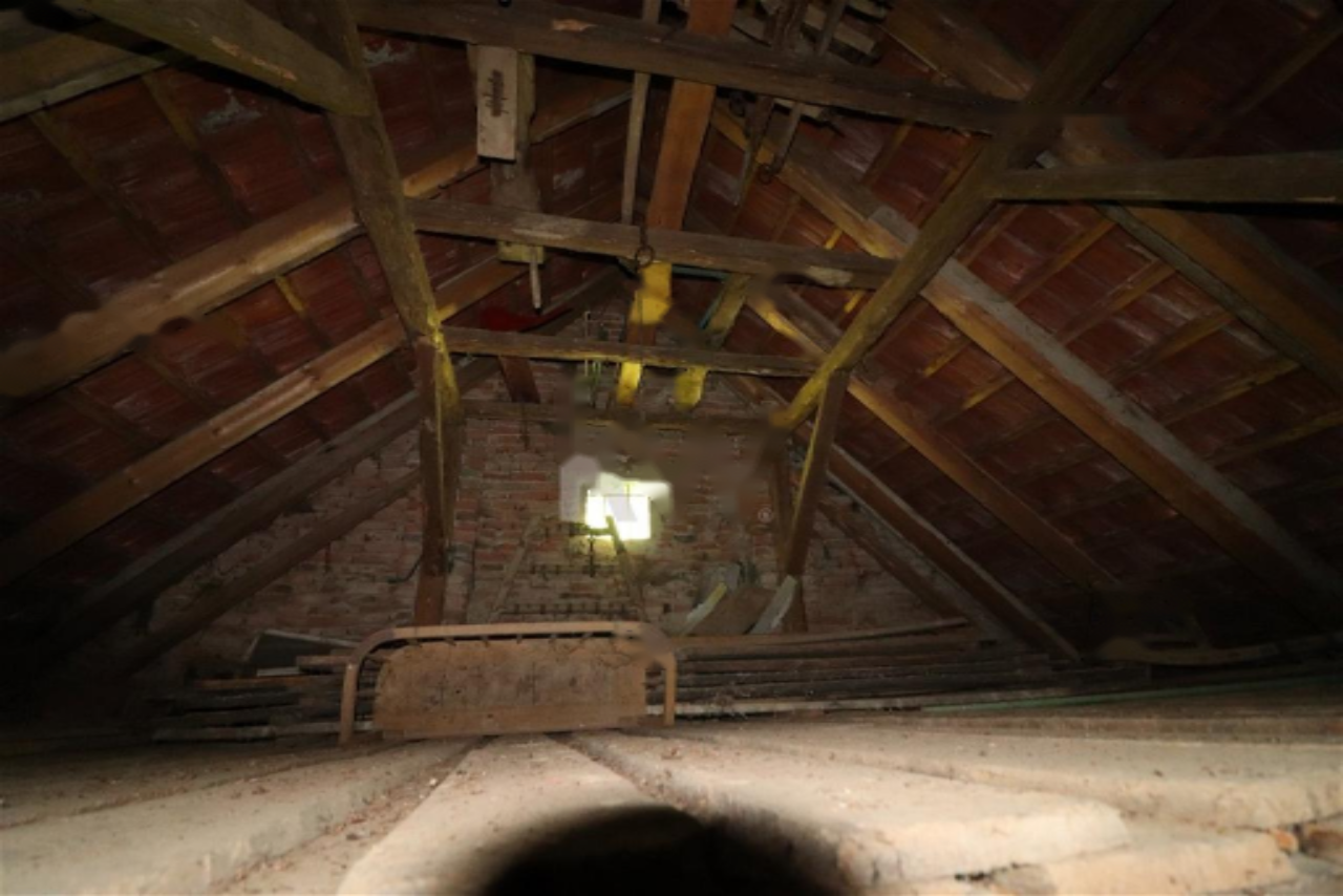 Ферма в Шентиле, Словения, 393 м² - фото 15