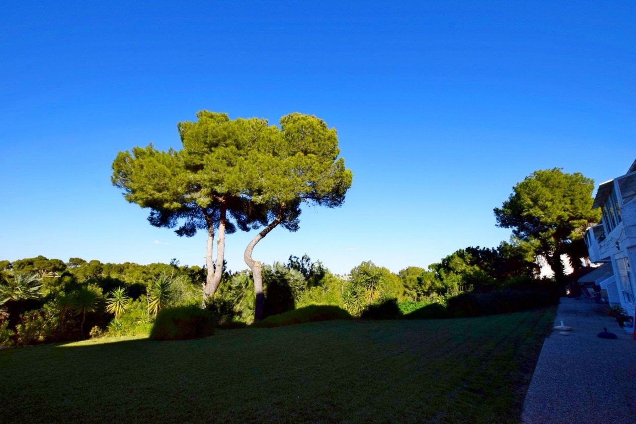 Пентхаус в Ориуэла Коста, Испания, 150 м² - фото 4