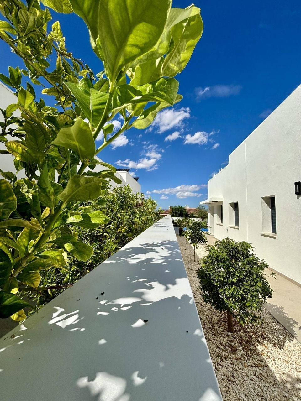 Вилла в Бенихофаре, Испания, 120 м² - фото 6