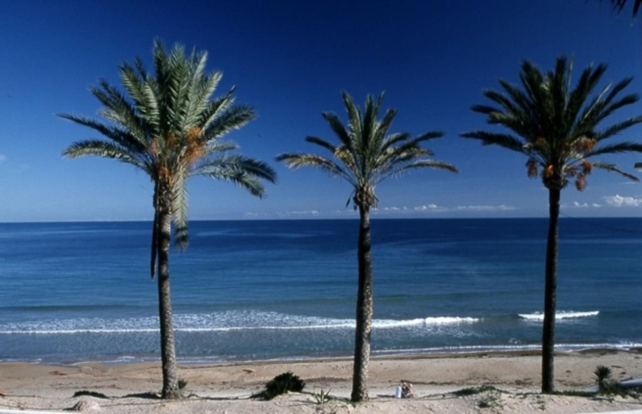 Бунгало в Пилар-де-ла-Орадада, Испания, 67 м² - фото 9