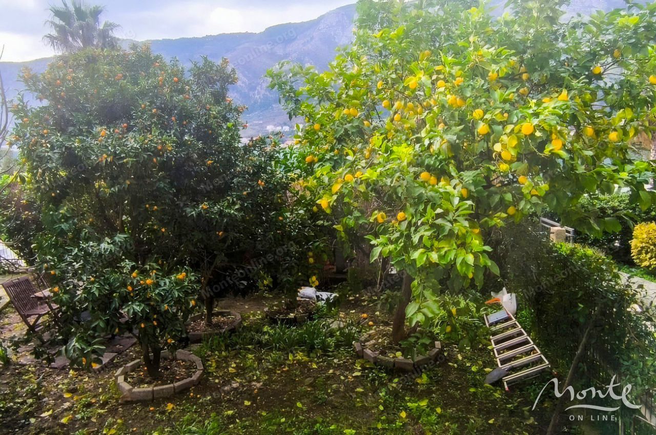 Апартаменты в Доброте, Черногория, 54 м² - фото 19