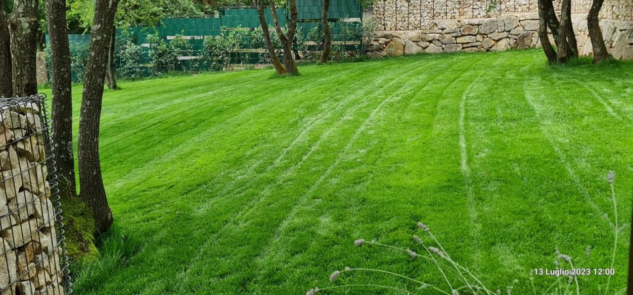 Дом Istria, Barban, Хорватия, 179 м² - фото 10