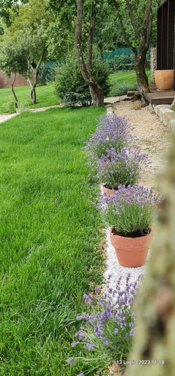 Дом Istria, Barban, Хорватия, 179 м² - фото 11