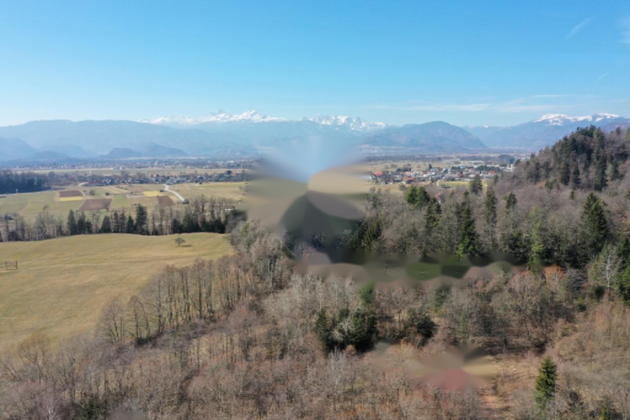 Земля в Радовлице, Словения, 15 499 м² - фото 3