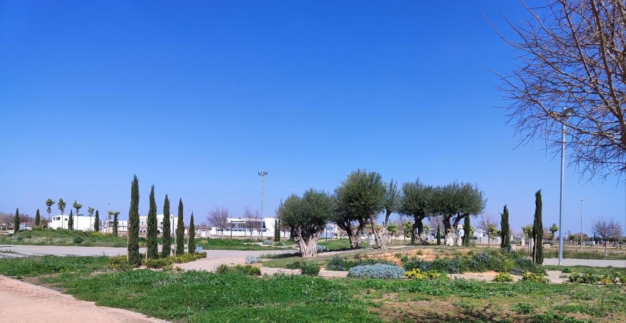 Пентхаус в Торре-Пачеко, Испания, 80 м² - фото 10