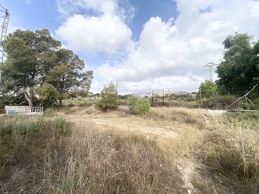 Вилла Crevillente, Испания, 180 м² - фото 10