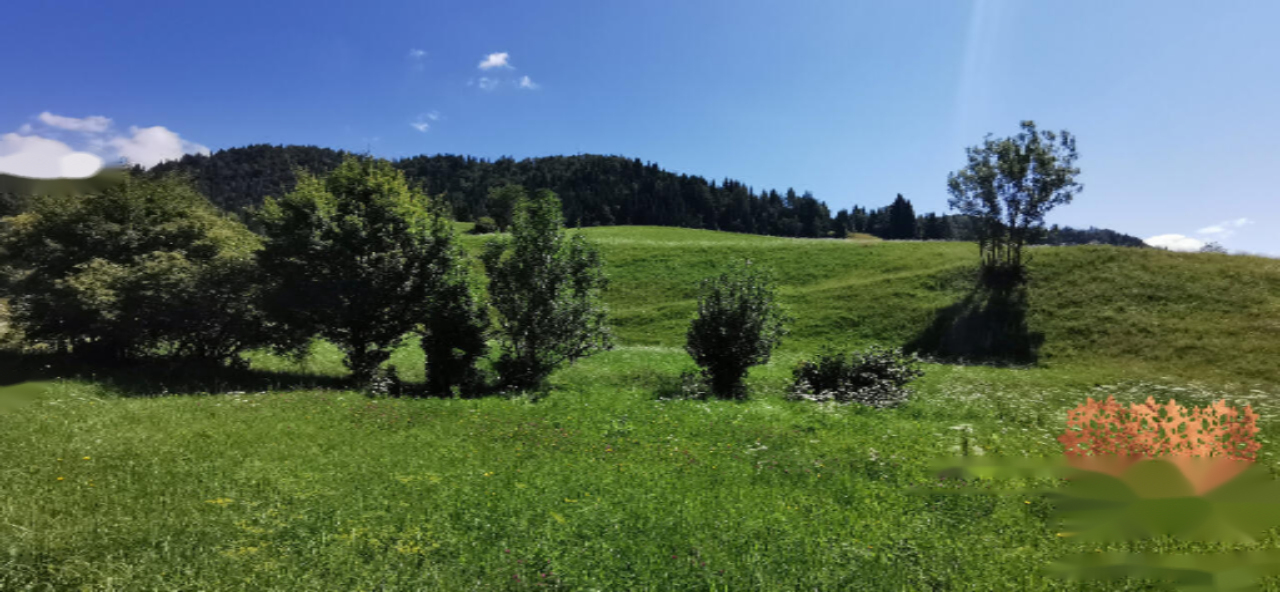 Земля в Бохине, Словения, 15 290 м² - фото 7