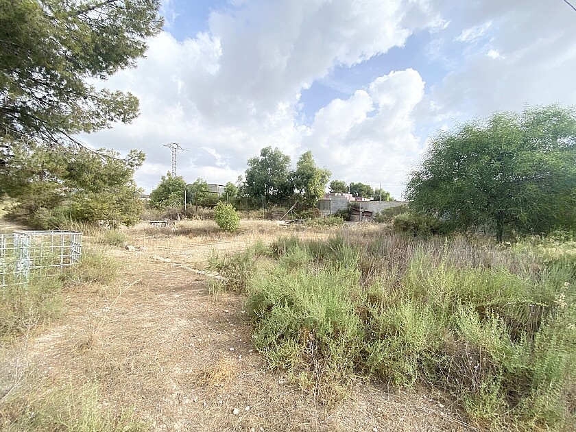 Вилла Crevillente, Испания, 180 м² - фото 11