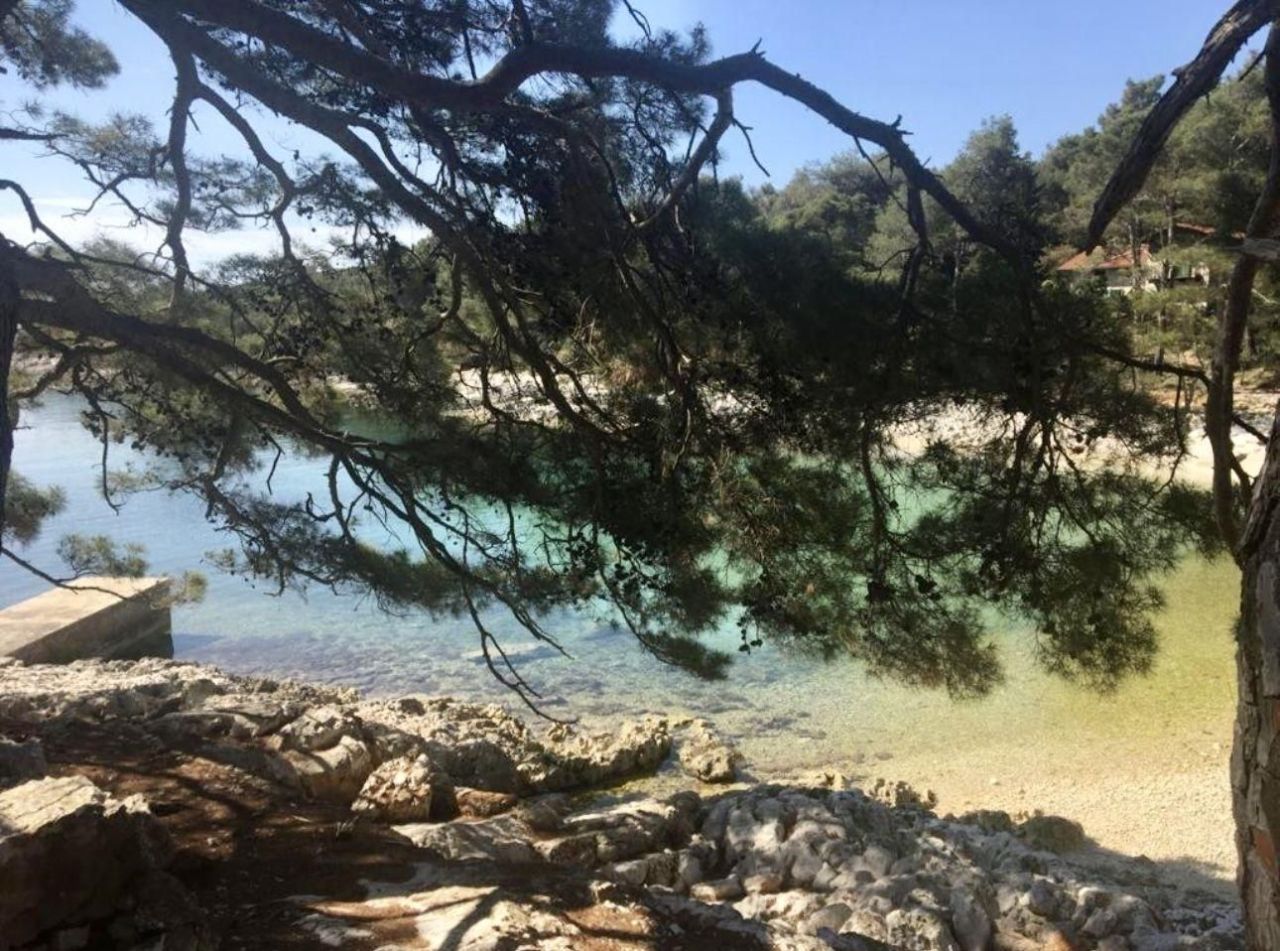 Отель, гостиница Mali Lošinj, Хорватия, 266 м² - фото 2