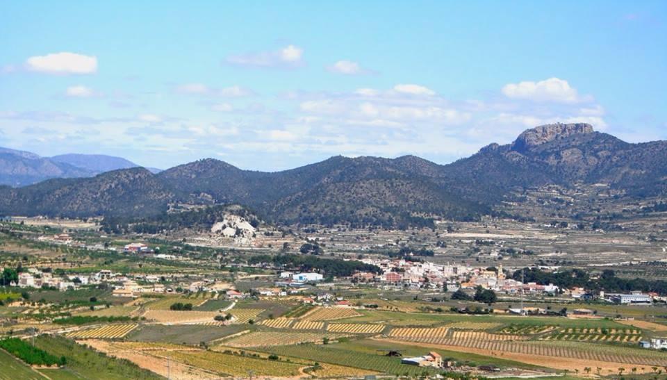 Вилла в Ла-Романа, Испания, 123 м² - фото 11