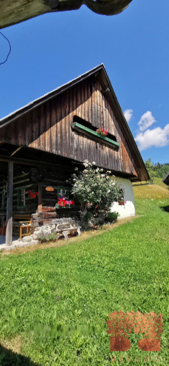 Земля в Бохине, Словения, 15 290 м² - фото 15