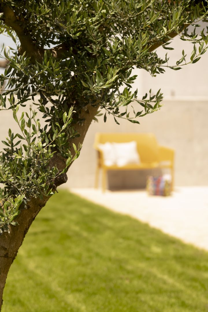 Вилла в Ровини, Хорватия, 230 м² - фото 8