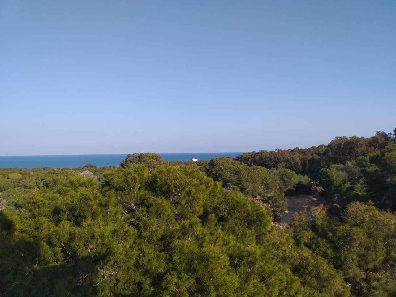 Пентхаус в Гуардамар-дель-Сегура, Испания, 136 м² - фото 13