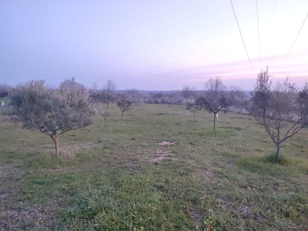 Вилла в Бртонигле, Хорватия, 143 м² - фото 13