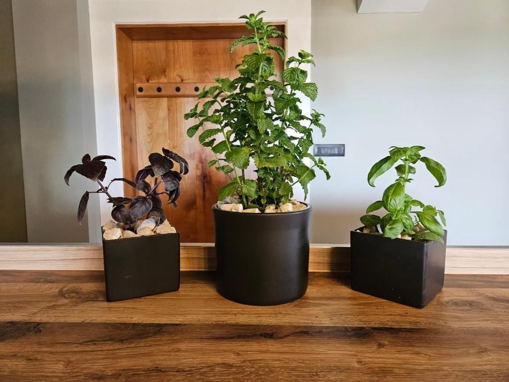 Вилла в Светвинченате, Хорватия, 248 м² - фото 16