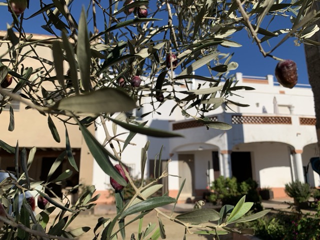 Дом в Камбрильсе, Испания, 368 м² - фото 14