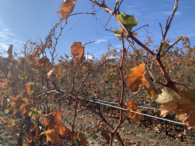 Инвестиционный проект в Приорате, Испания, 1 120 м² - фото 6