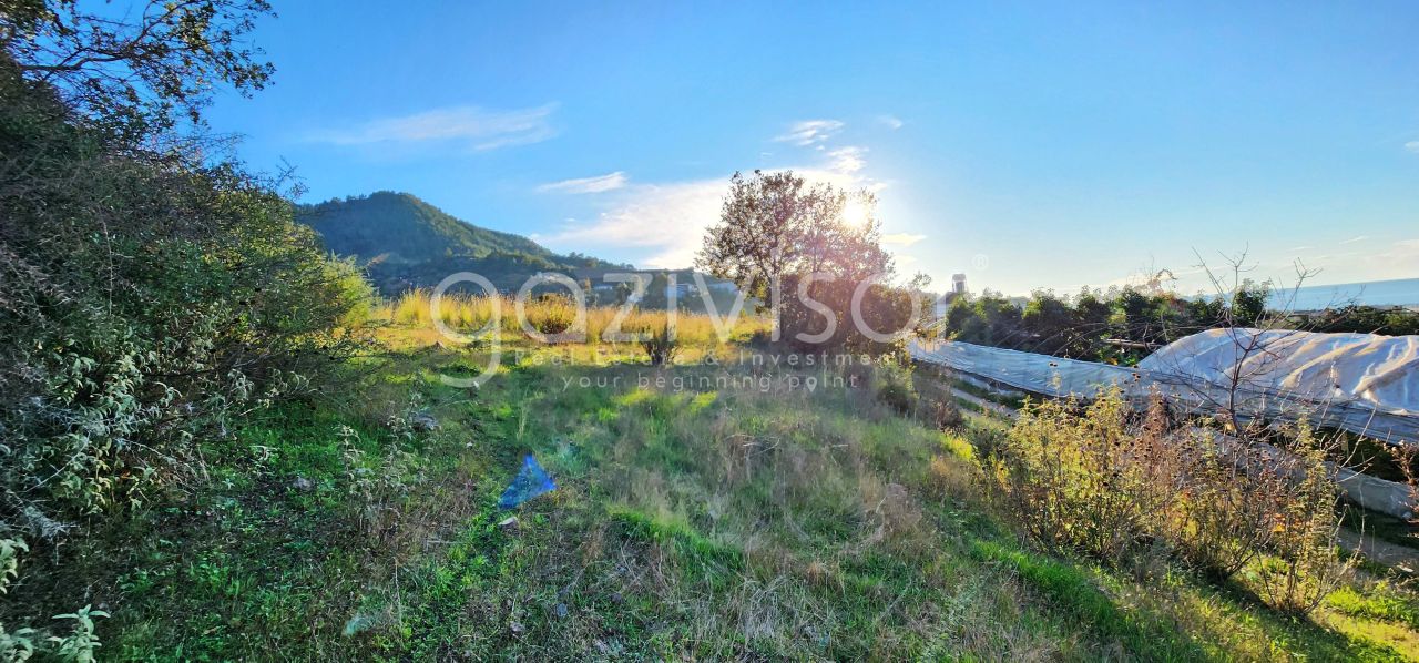 Земля в Газипаше, Турция, 1 069 м² - фото 5