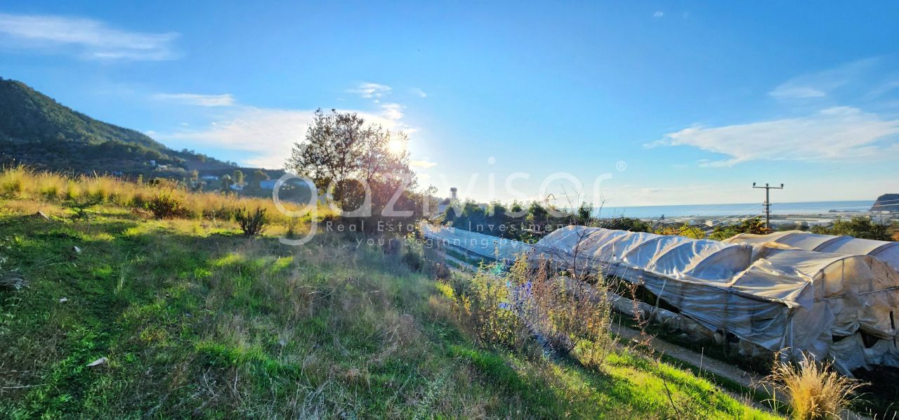 Земля в Газипаше, Турция, 1 069 м² - фото 6