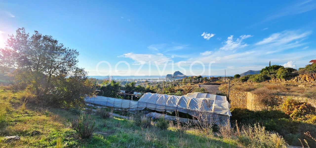 Земля в Газипаше, Турция, 1 069 м² - фото 3