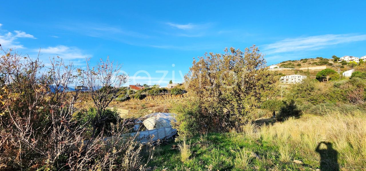 Земля в Газипаше, Турция, 1 069 м² - фото 10