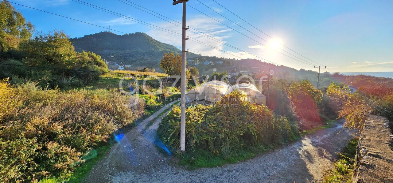 Земля в Газипаше, Турция, 1 069 м² - фото 17