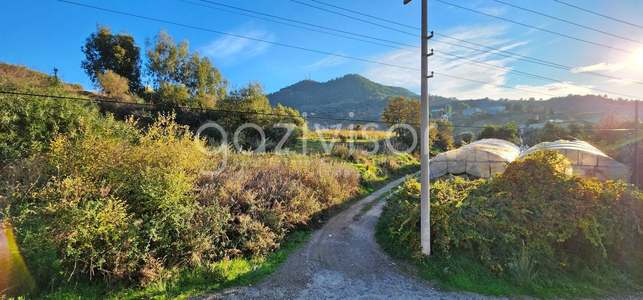 Земля в Газипаше, Турция, 1 069 м² - фото 16