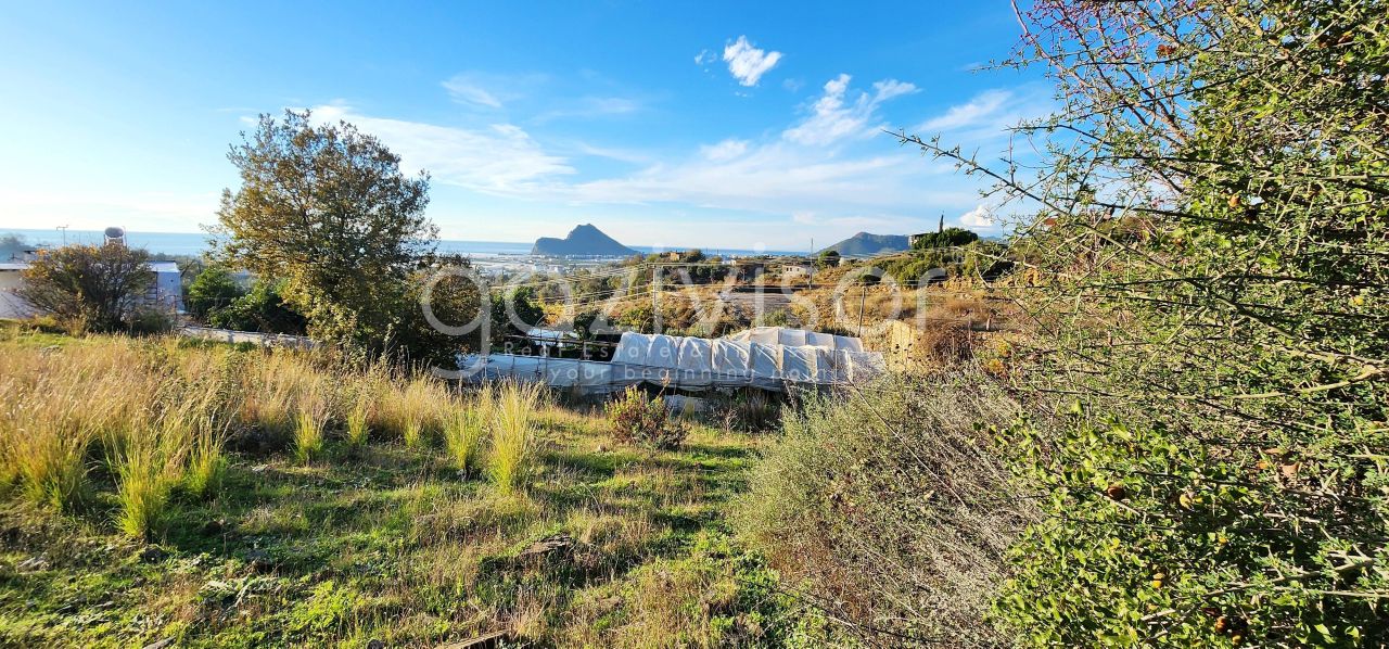 Земля в Газипаше, Турция, 1 069 м² - фото 12