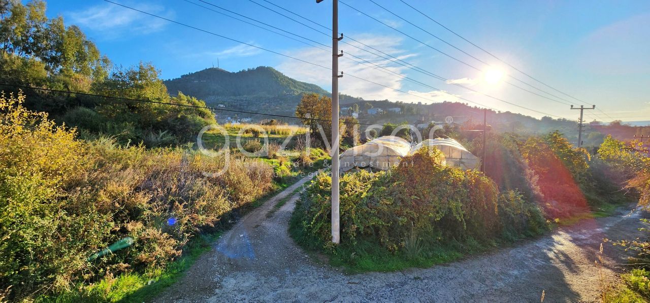 Земля в Газипаше, Турция, 1 069 м² - фото 15